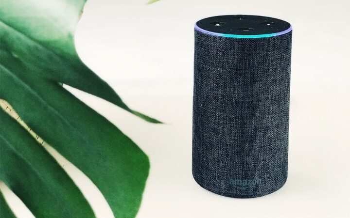 How The Google Smart Speakers Compare To Each Other