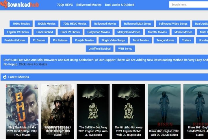DownloadHub: A Hub To Download All The Latest Movies From All Popular Languages