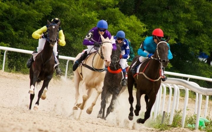 What Are 5 Exciting Horse Races Around The World?