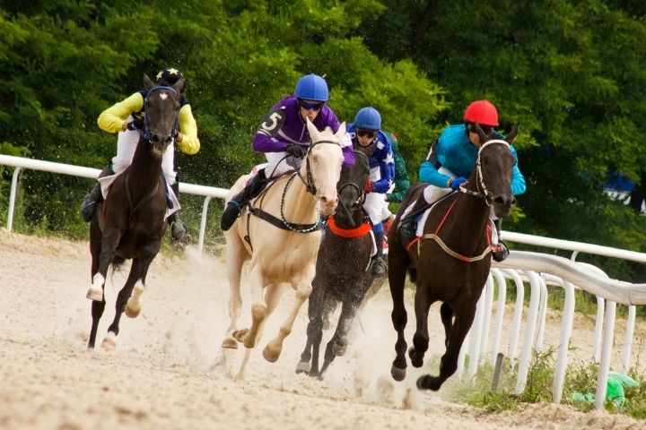 5 Exciting Horse Races Around The World