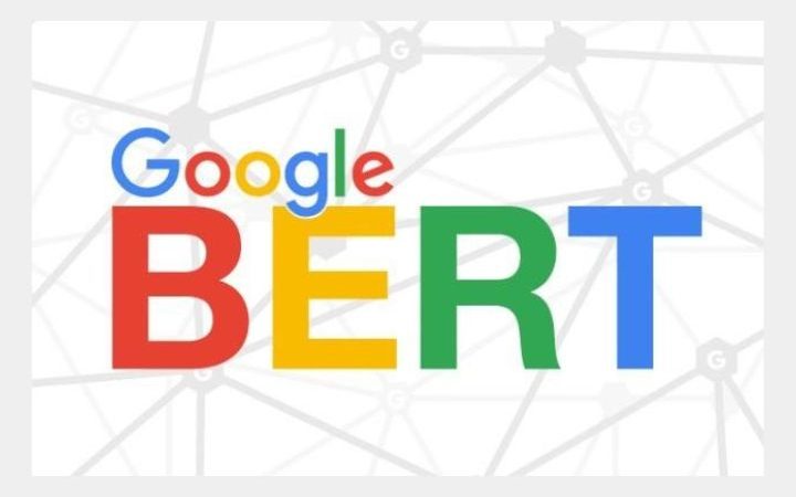 Google BERT, How To Take Advantage Of The New Google Update